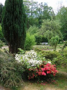 Ziersträucher im Garten